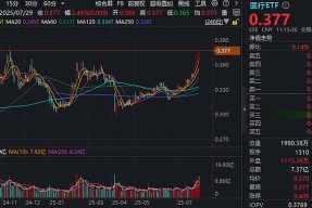 开元体育-加密市场上涨势惊人，一夜飙升379%，加密市场沸腾，引爆行情